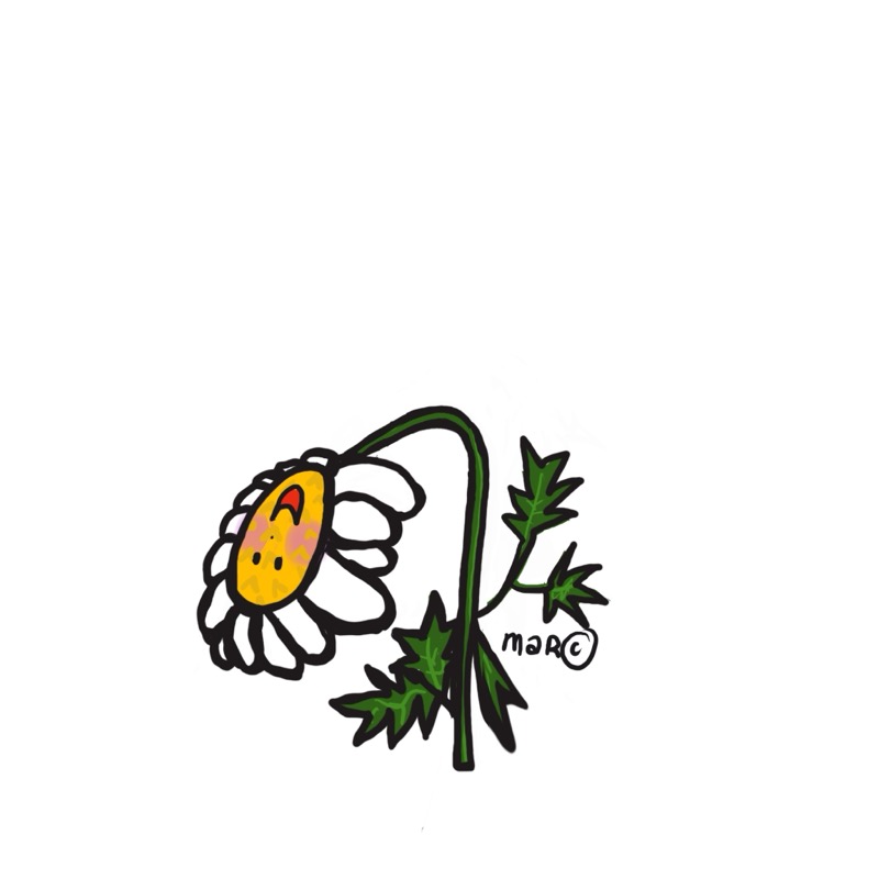 Handgetekende bloemenillustratie door Marretjes